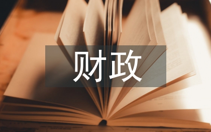 財(cái)政個(gè)人工作計(jì)劃