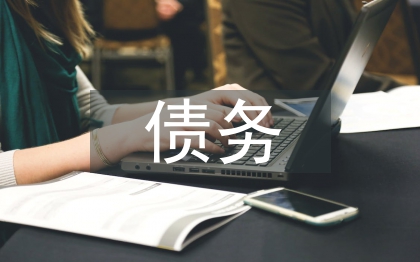 債務(wù)風(fēng)險(xiǎn)論文