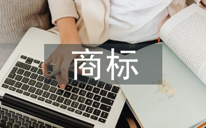 商標(biāo)調(diào)查報告