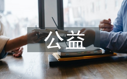 公益項(xiàng)目風(fēng)險分析及對策