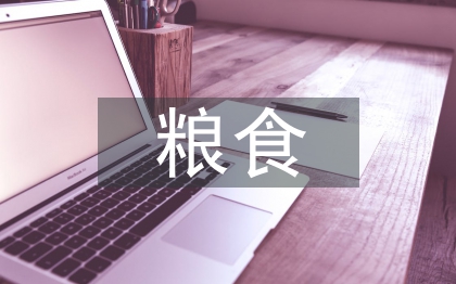 糧食安全的認(rèn)識