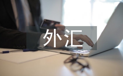 外匯工作計(jì)劃