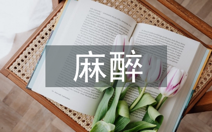 麻醉實(shí)習(xí)生個人總結(jié)