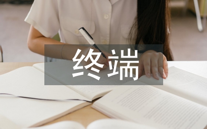 終端業(yè)務(wù)工作計劃