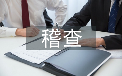 稽查匯報(bào)材料