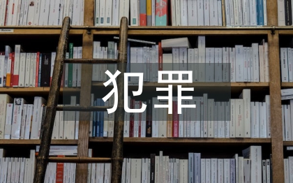 犯罪經(jīng)濟學原理