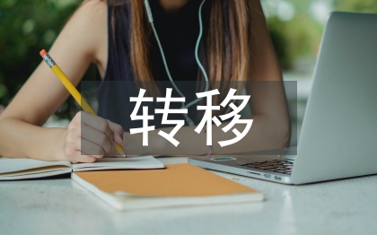 轉(zhuǎn)移就業(yè)工作計(jì)劃