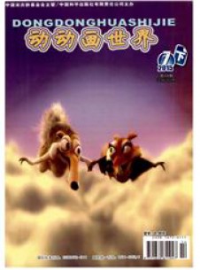 動(dòng)動(dòng)畫世界雜志