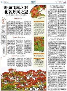 廣州日?qǐng)?bào)雜志社