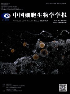 中國細胞生物學(xué)學(xué)報雜志