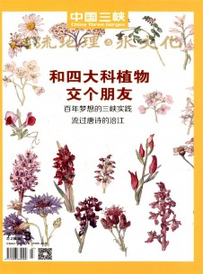 中國三峽建設(shè)雜志