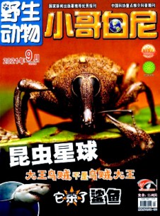 小哥白尼·野生動(dòng)物畫報(bào)雜志